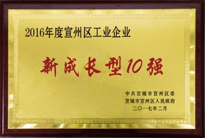 宣州區工業企業新成長10強